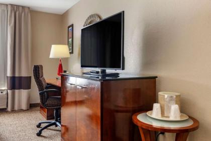 Comfort Inn & Suites Geneva- West Chicago - image 5