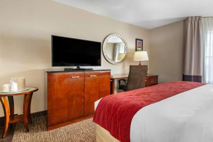 Comfort Inn & Suites Geneva- West Chicago - image 8