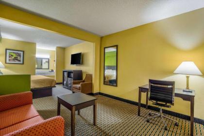 Quality Inn & Suites - image 4