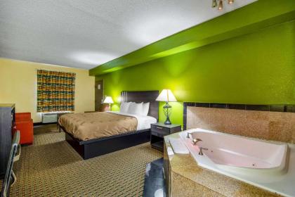 Quality Inn & Suites - image 9