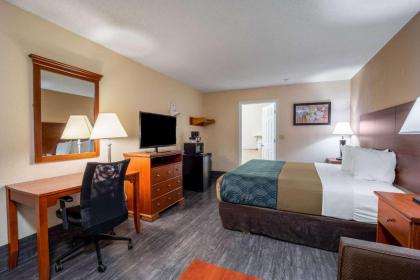 Econo Lodge Inn & Suites Cayce - image 15