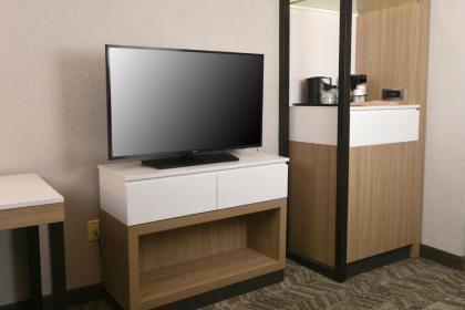 SpringHill Suites Des Moines West - image 9