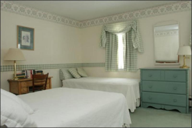 The Inn at Mount Snow - image 2