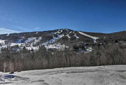 Cabin with Climbing Wall and Game Room 5 Mi to Mt Snow - image 7