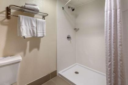 Comfort Inn West Hazleton - image 11