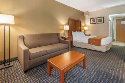 Comfort Inn West Hazleton - image 12