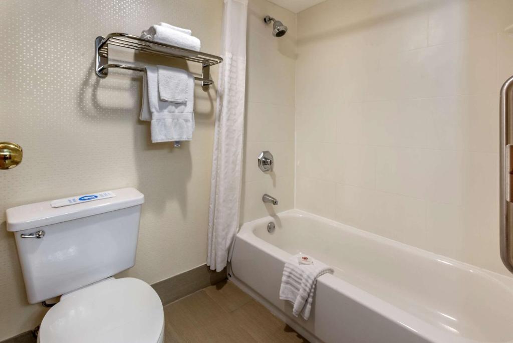 Comfort Inn West Hazleton - image 7