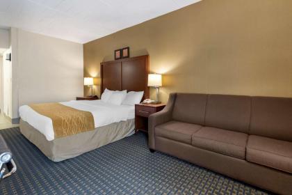 Comfort Inn West Hazleton - image 9