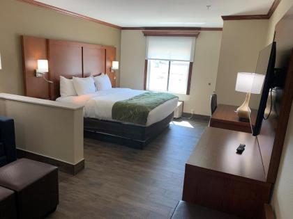 Comfort Suites West Monroe - image 14