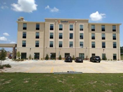 Comfort Suites West Monroe - image 2