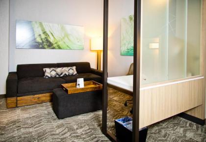 SpringHill Suites by Marriott West Sacramento - image 6