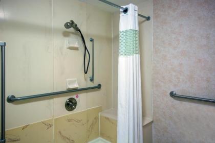 Hampton Inn West Springfield - image 13