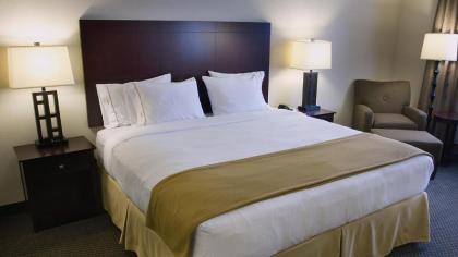 Holiday Inn Express Hotel & Suites Chicago Airport West-O'Hare an IHG Hotel - image 10