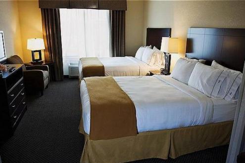 Holiday Inn Express Hotel & Suites Chicago Airport West-O'Hare an IHG Hotel - image 3