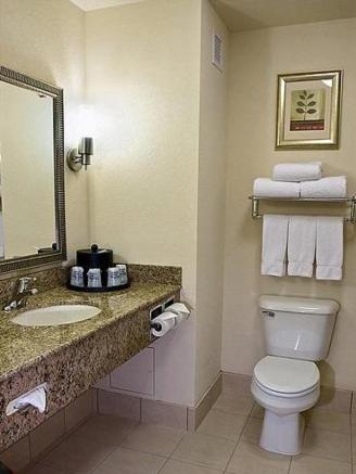 Holiday Inn Express Hotel & Suites Chicago Airport West-O'Hare an IHG Hotel - image 5