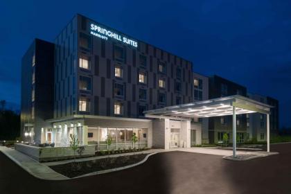 SpringHill Suites by Marriott Indianapolis Westfield - image 12