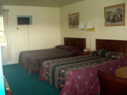 Thruway Holiday Motel - image 3