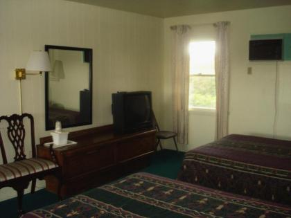 Thruway Holiday Motel - image 4