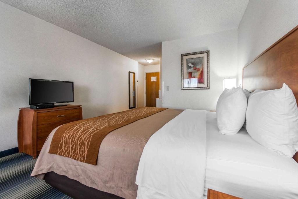 Quality Inn Denver Westminster - image 3