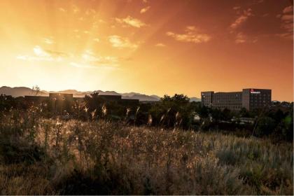 Denver Marriott Westminster - image 8