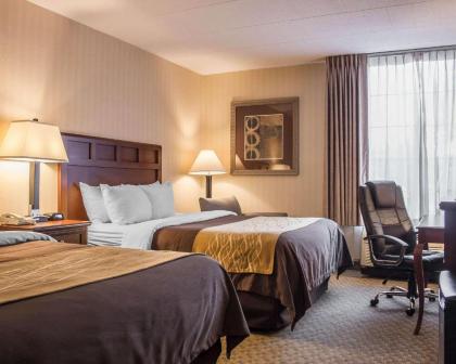 Comfort Inn Wethersfield - Hartford - image 9