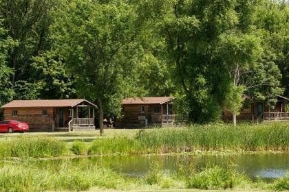 Fremont Jellystone Park Cottage 21 - image 9