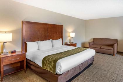 Comfort Inn Denver West Arvada Station - image 15