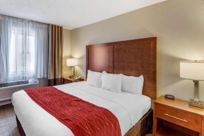 Comfort Inn Denver West Arvada Station - image 3