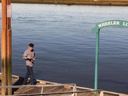 Wheeler on the Bay Lodge and Marina - image 11