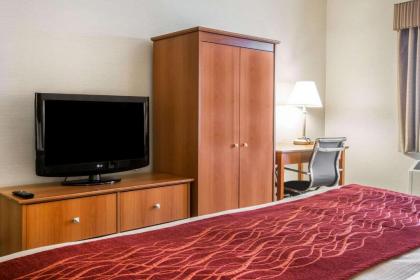 Comfort Inn White River Junction - image 9