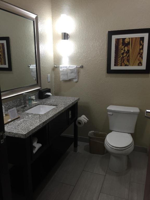 Comfort Inn & Suites White Settlement-Fort Worth West TX - image 3