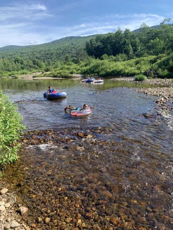 BC Log cabin with private beach river fire pit AC wifi onsite trails ski slope views! - image 3