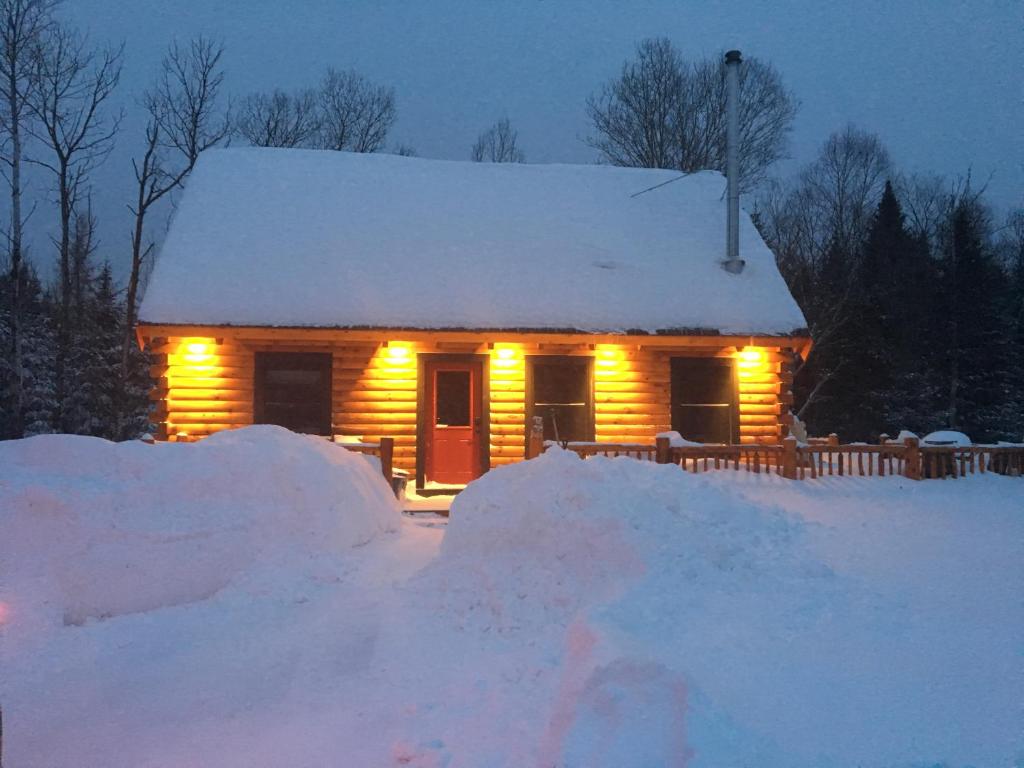 BC Log cabin with private beach river fire pit AC wifi onsite trails ski slope views! - image 4