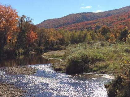 BC Log cabin with private beach river fire pit AC wifi onsite trails ski slope views! - image 9