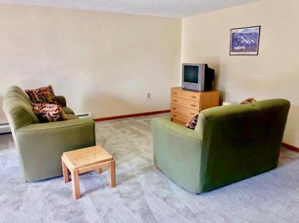 W4 Comfortable and spacious Bretton Woods condo with ski slope views fireplace and fast wifi! - image 11