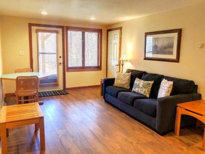 W7 Fully Renovated Townhouse in Bretton Woods with fantastic ski slope views fast WiFi! - image 13