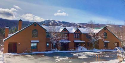 W7 Fully Renovated Townhouse in Bretton Woods with fantastic ski slope views fast WiFi! - image 17