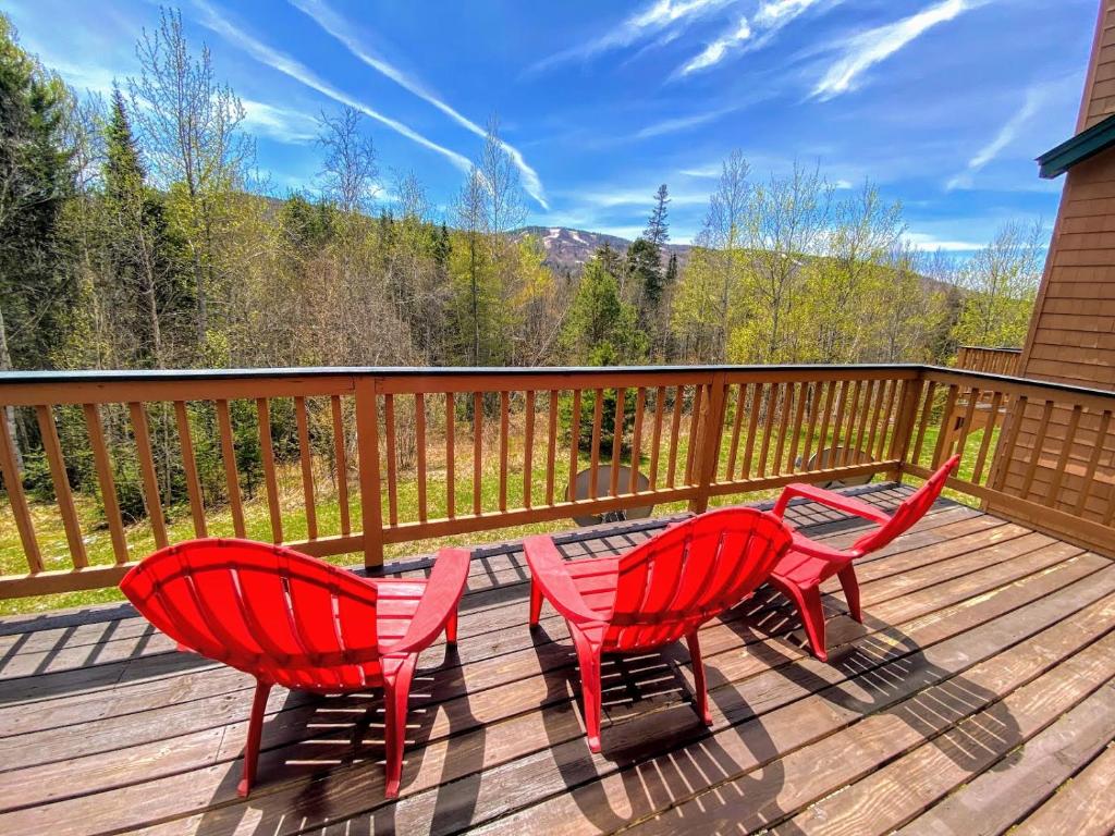 W8 Mount Washington Place Townhome great slope views fireplace large deck yard and ping pong! - main image