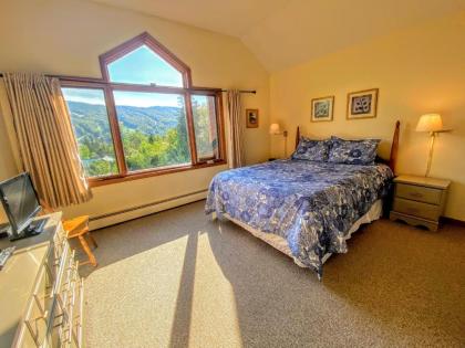 W3 Cozy 3BR Mt Washington Place Townhome gorgeous views of Bretton Woods Ski Area WiFi Cable - image 9