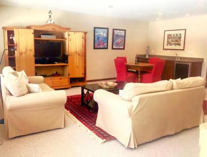 H8 Gorgeous Stone Hill Townhome in the heart of Bretton Woods Great views huge kitchen fireplace - image 15