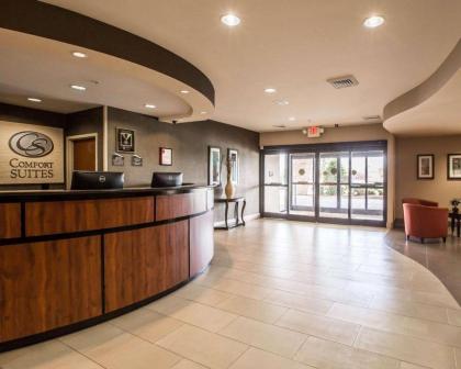 Comfort Suites Whitsett - image 8