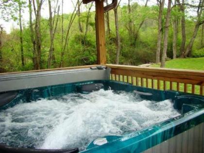 Climbing Bear Creekside Cabin - image 5