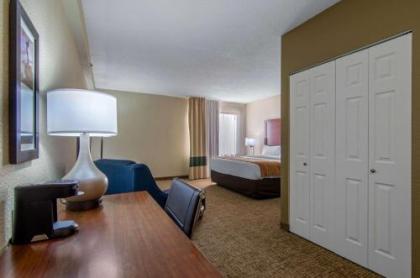 Comfort Inn & Suites - image 2