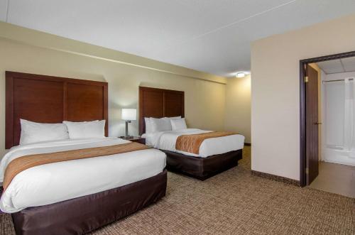 Comfort Inn & Suites - image 3