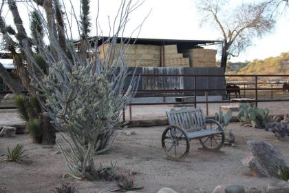 Kay El Bar Guest Ranch - image 8