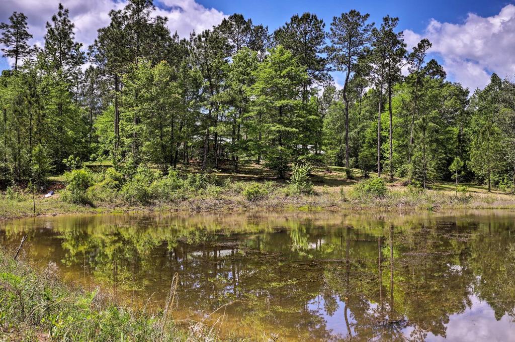 Secluded Cabin with Pond - 37 Mi to Gulf Coast! - image 7