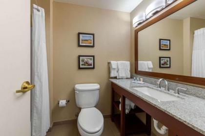 Comfort Inn & Suites Northern Kentucky - image 10