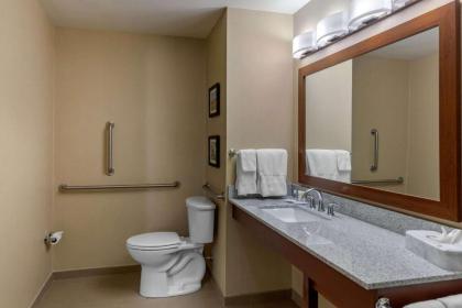 Comfort Inn & Suites Northern Kentucky - image 6