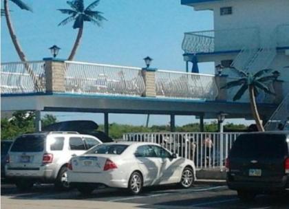 Gondolier Motel - Wildwood - image 3