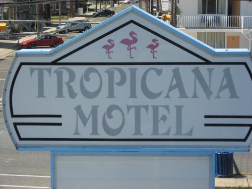 Tropicana Motel - image 2